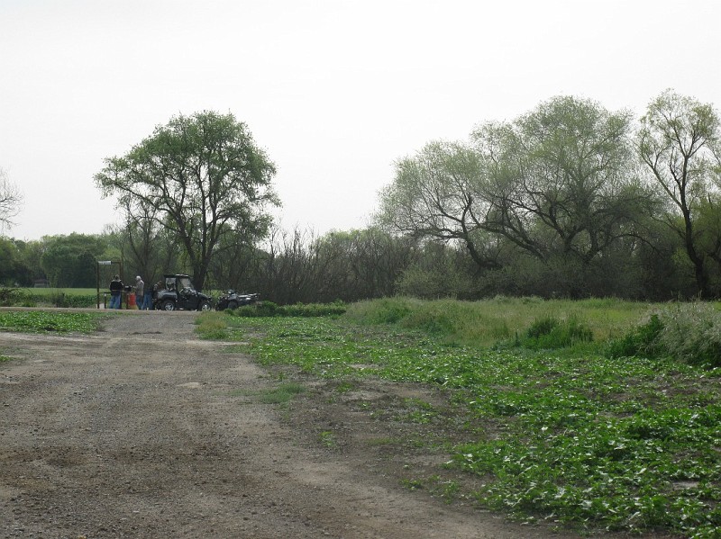 Picture 0145.jpg